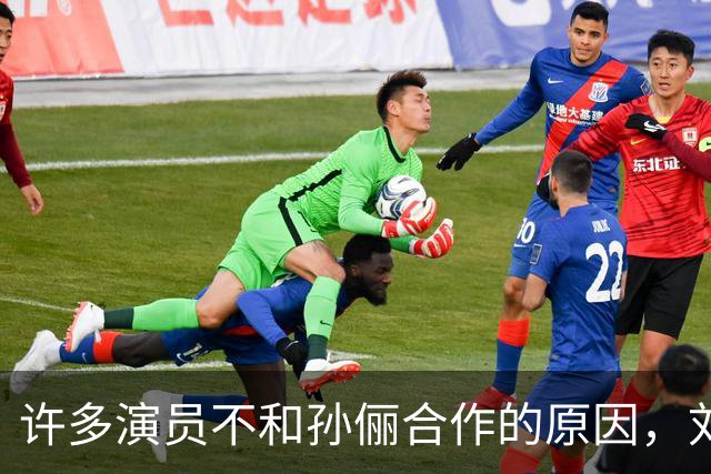 许多演员不和孙俪合作的原因，刘涛早就说过她太细节控了